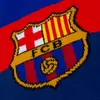 Picture 6/8 -Barça official home scarf 23-24