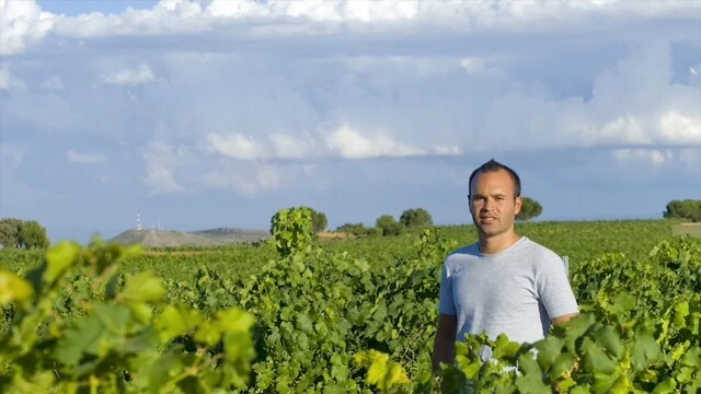 Iniesta: 3-as vörösboros csomag - Prémium