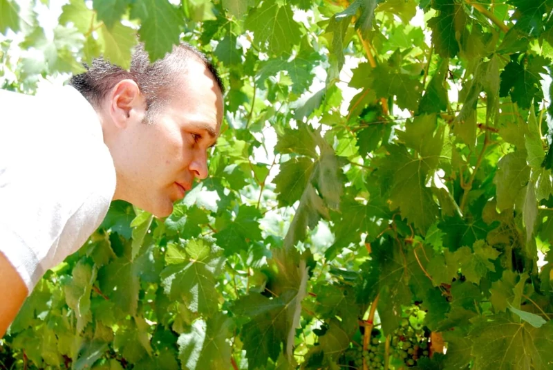 Iniesta: Corazón Loco Tinto vörösbor  - 2021